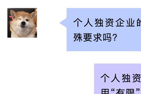 个人独资企业的经营方式