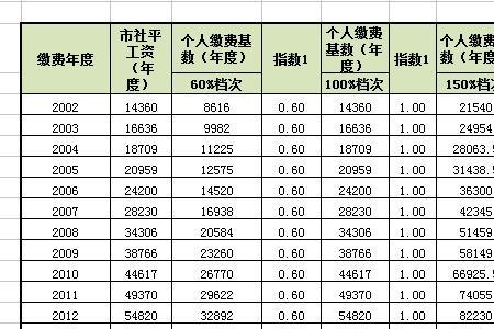 社保扣个人500多属于哪个档
