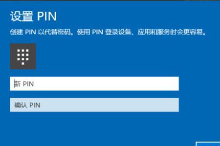 pin设置什么意思