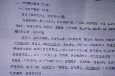 红楼梦文言文翻译