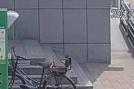 为什么公共自行车不按喇叭