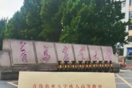 函授毕业档案怎么处理