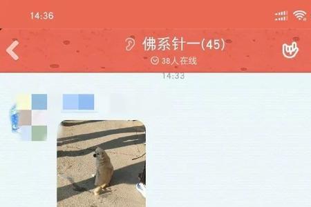 不随地大小便什么梗