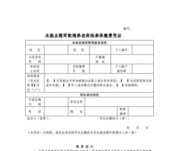 养老台账可以当做参保凭证吗
