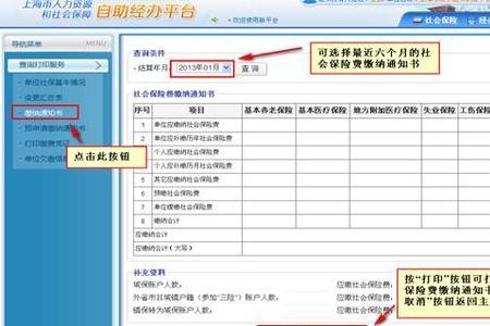农保查询网站