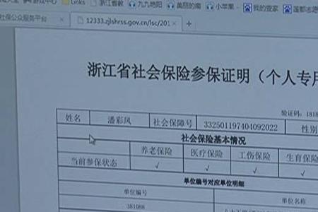 参保缴费凭证是什么样子