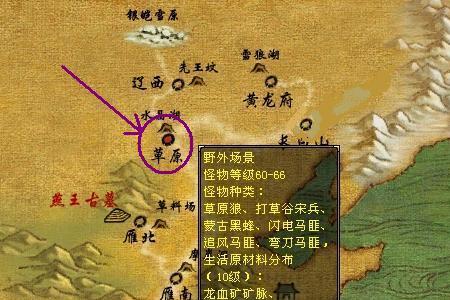 天龙八部雪原小企鹅掉什么