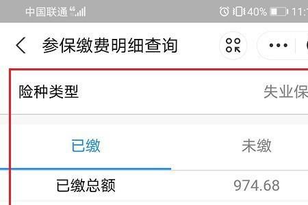 养老保险系统维护多久
