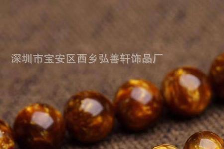 金丝海柳产地