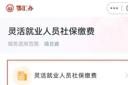 灵活就业医保记录怎么查不到