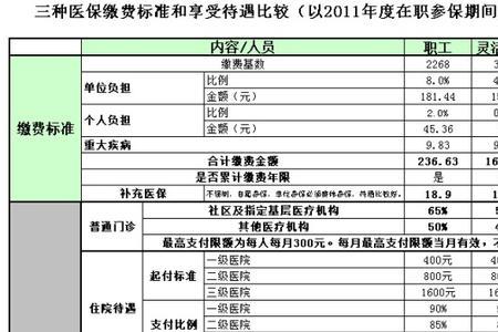 广州退休个人医保缴费流程