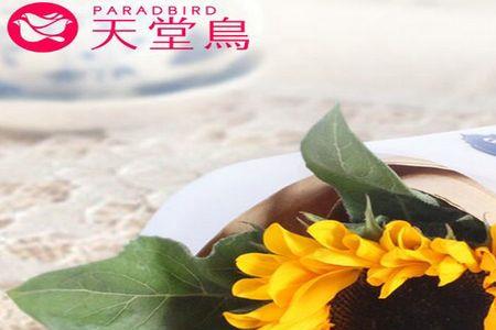 向日葵送给女朋友合适吗
