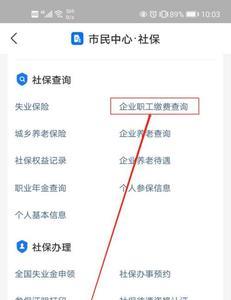 怎么查交的保险费