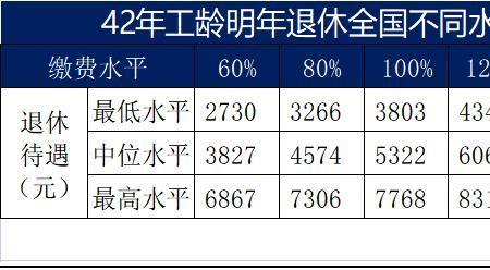 工龄满42年退休金个人账户怎么查