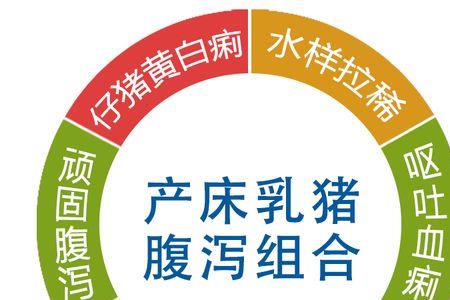 小猪黄白痢怎么防