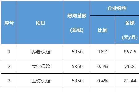 社保缴费期指的是什么