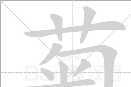菊花拼音怎么写