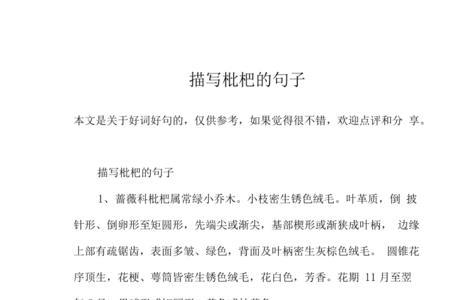 枇杷文案短句干净