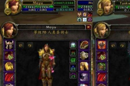 3.13惩戒骑PVP