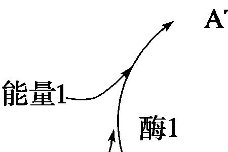 atp浓度指什么
