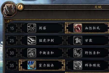 魔兽世界9.2刺客天赋