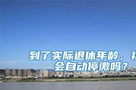 个体法人社保能停掉吗