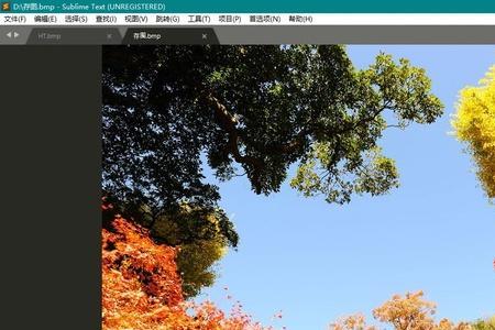 bmp所占存储空间与什么有关