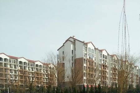 黑龙江龙口市属于哪个市