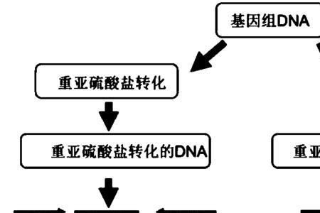 何谓生物转化的两重性