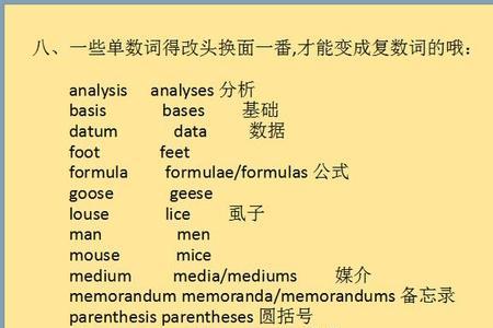 老鼠的单复数