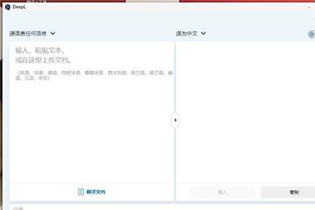 pro的翻译是：什么意思