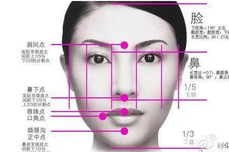 人类头宽和头高的比例