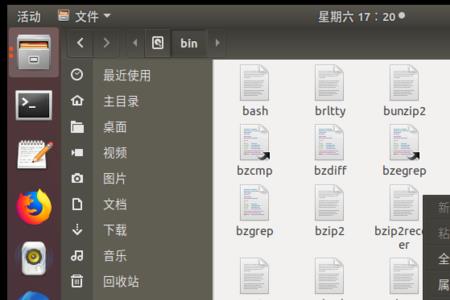 bin格式是什么文件