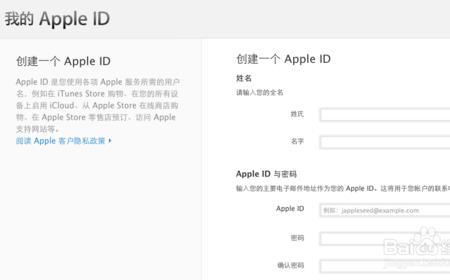 apple id密码是什么格式