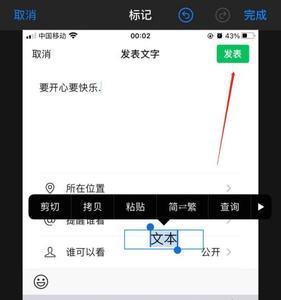 苹果上的字是怎么弄的