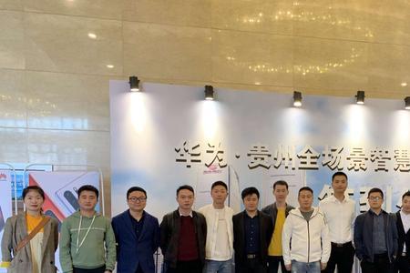 全国名下华为公司有几个分公司