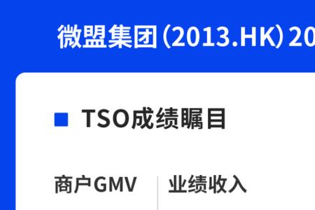 微盟国际是做什么的