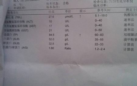 体检报告怎么扫描成文件