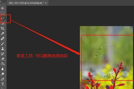 ps怎样用套索套多个图层
