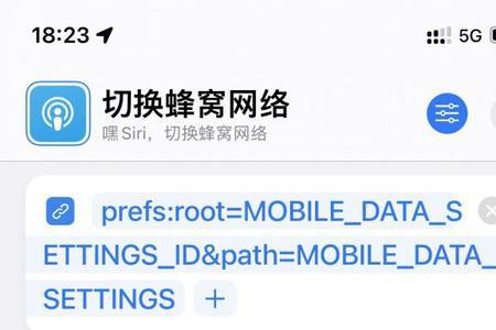 苹果url是什么意思