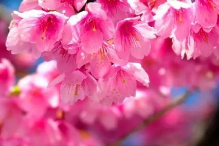 完成一小节邂逅是什么意思