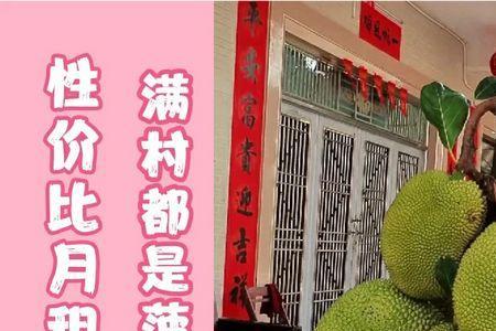 门前种木菠萝吉利吗