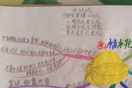 画杨桃类似的生活事例