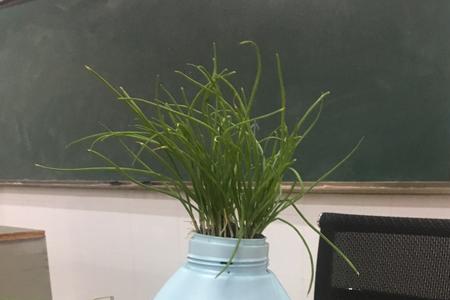 大豆油烧到100度为什么变绿色