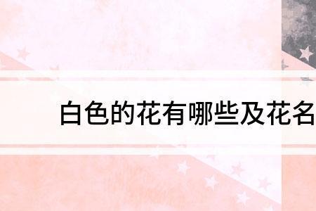 常见的三个字的花名