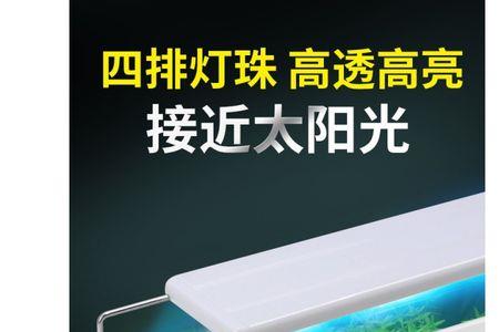 植物生长灯可以爆藻吗