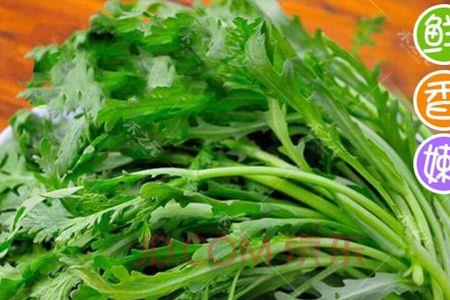蓬哈菜是什么菜