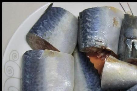 为什么马鲛鱼的肉发黄