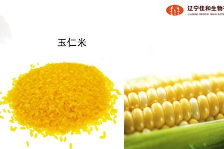 大米是种子还是果实