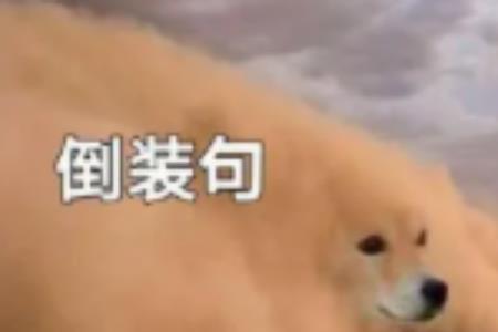 唯命是从是什么倒装
